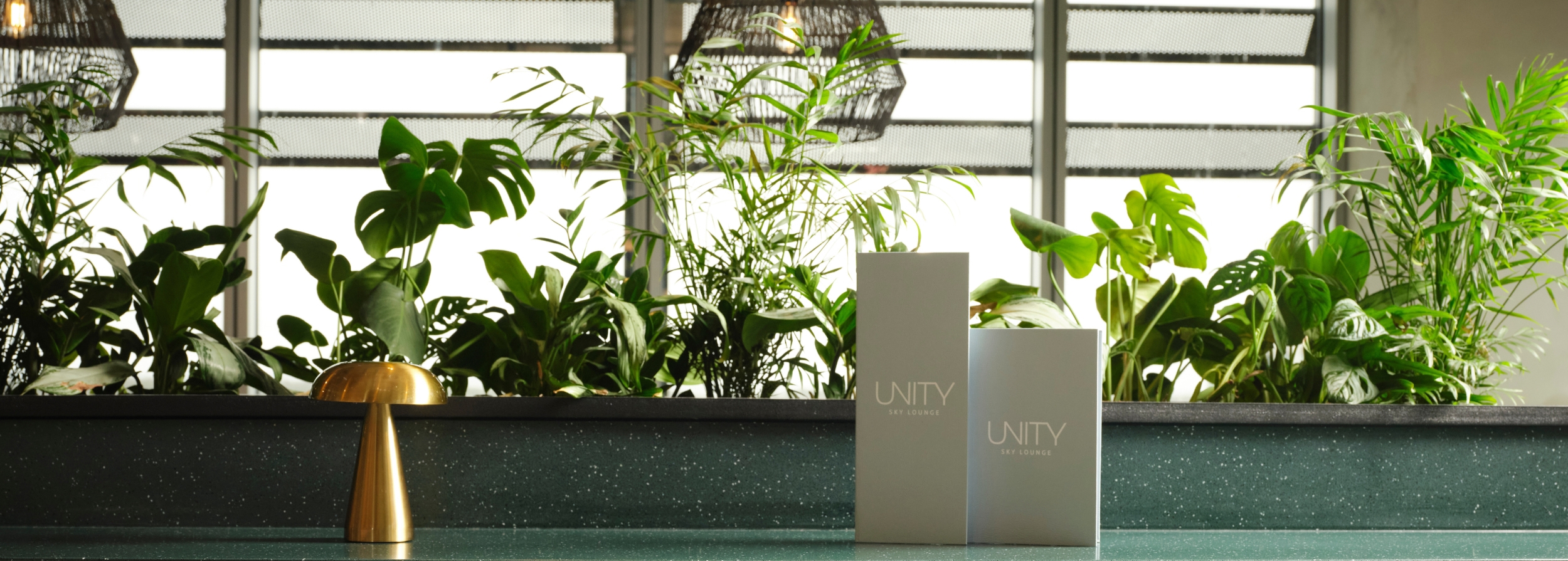 Untitled Design (33)