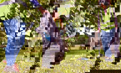 Litter Pick Monkey Business Images