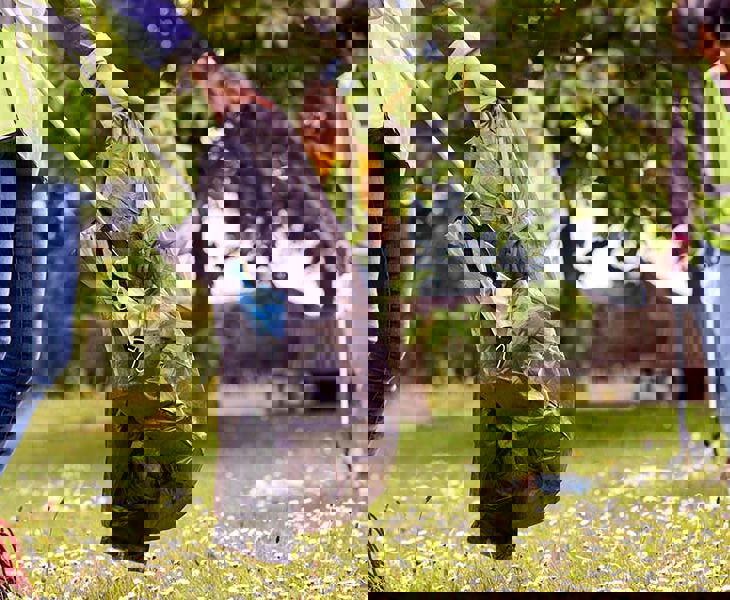 Litter Pick Monkey Business Images