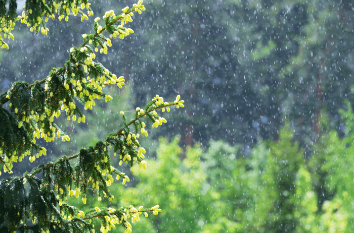 Sustainability 2 (Water)