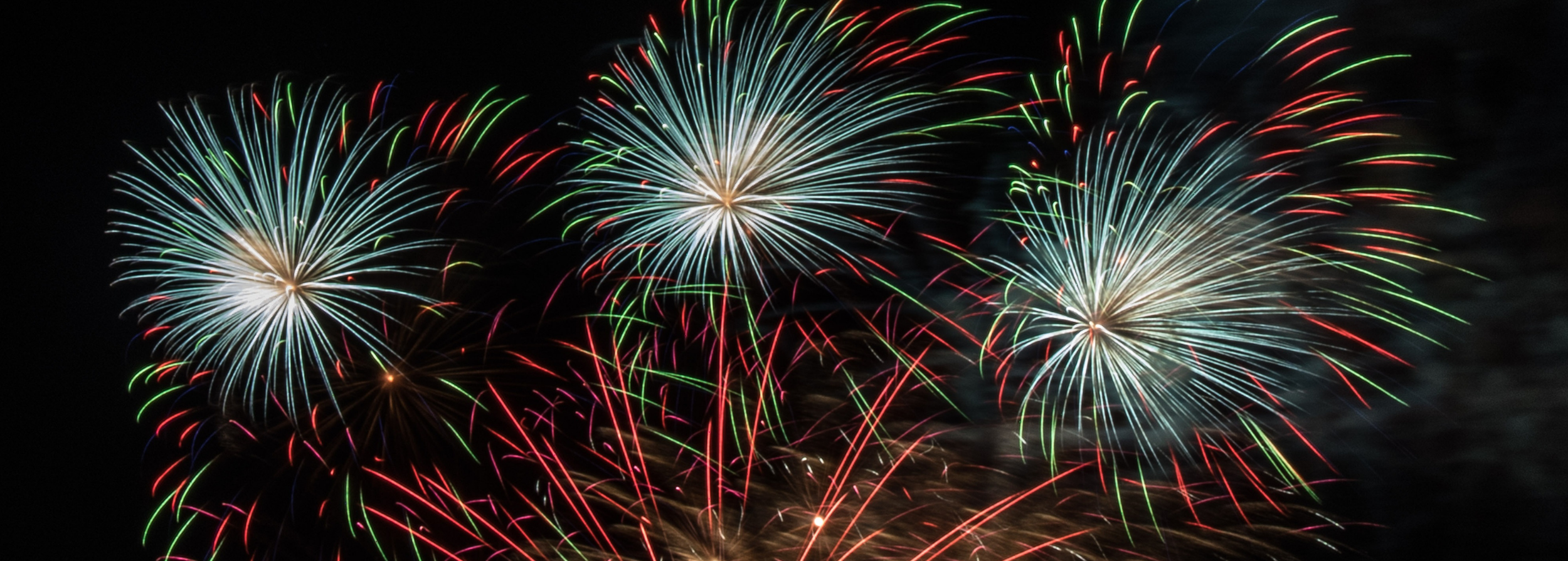 Ceremony Website Listing L (2500 X 895 Px)