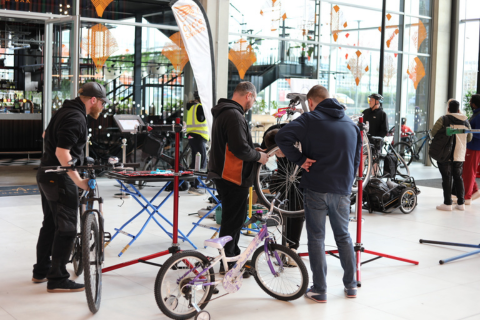 Untitled Design (188)