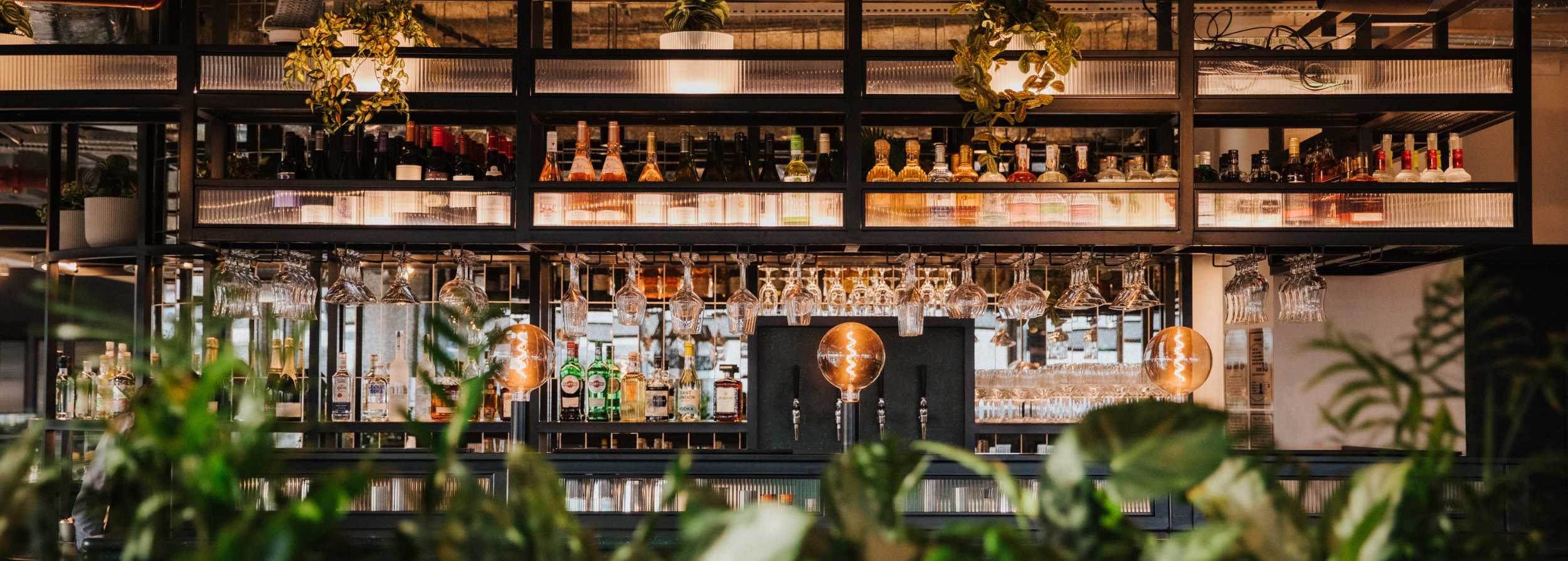 Untitled Design (197)