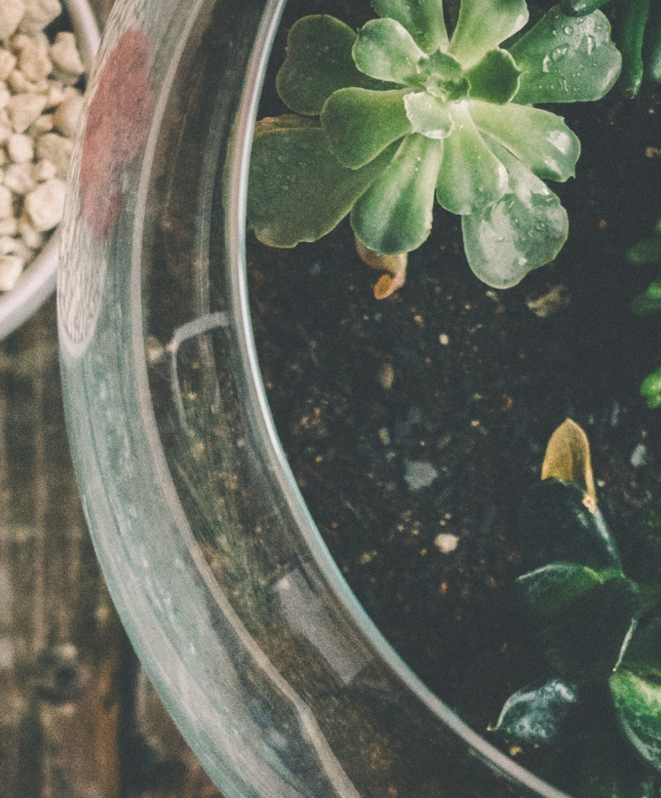 Untitled Design (27)