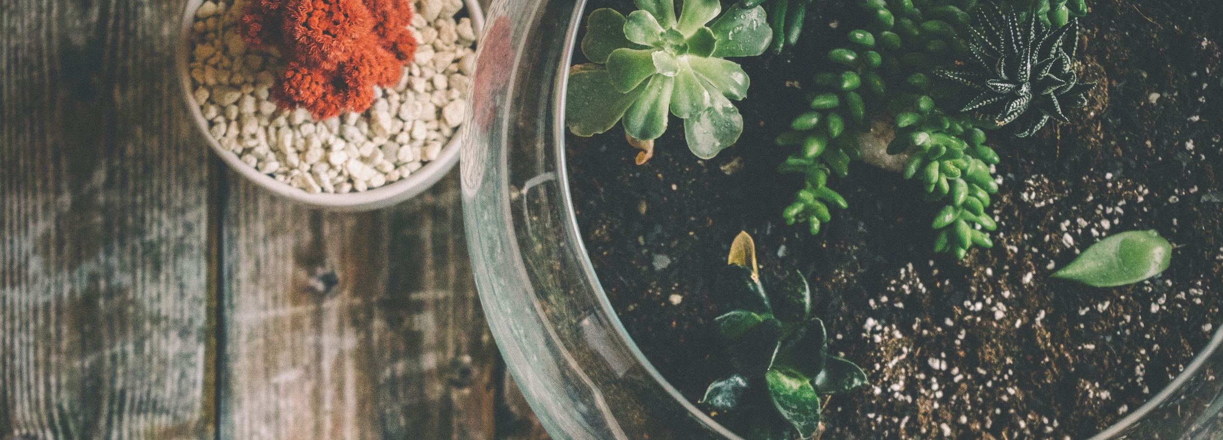 Untitled Design (27)