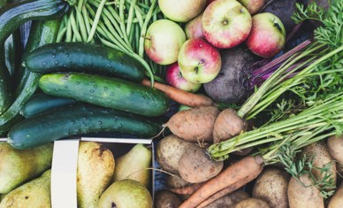 Sustainable Food