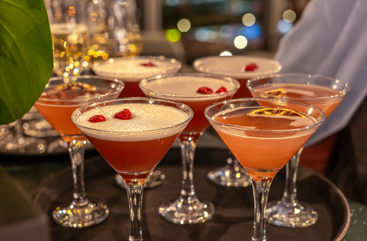 Cocktails (20) 2023 11 21 15 52 48