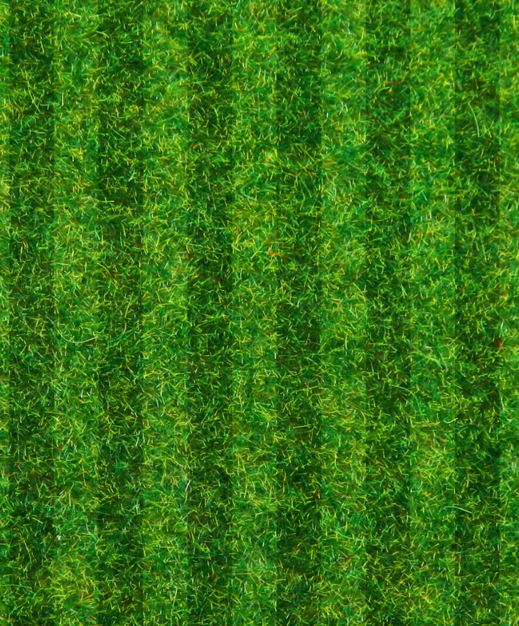 Untitled Design (25)