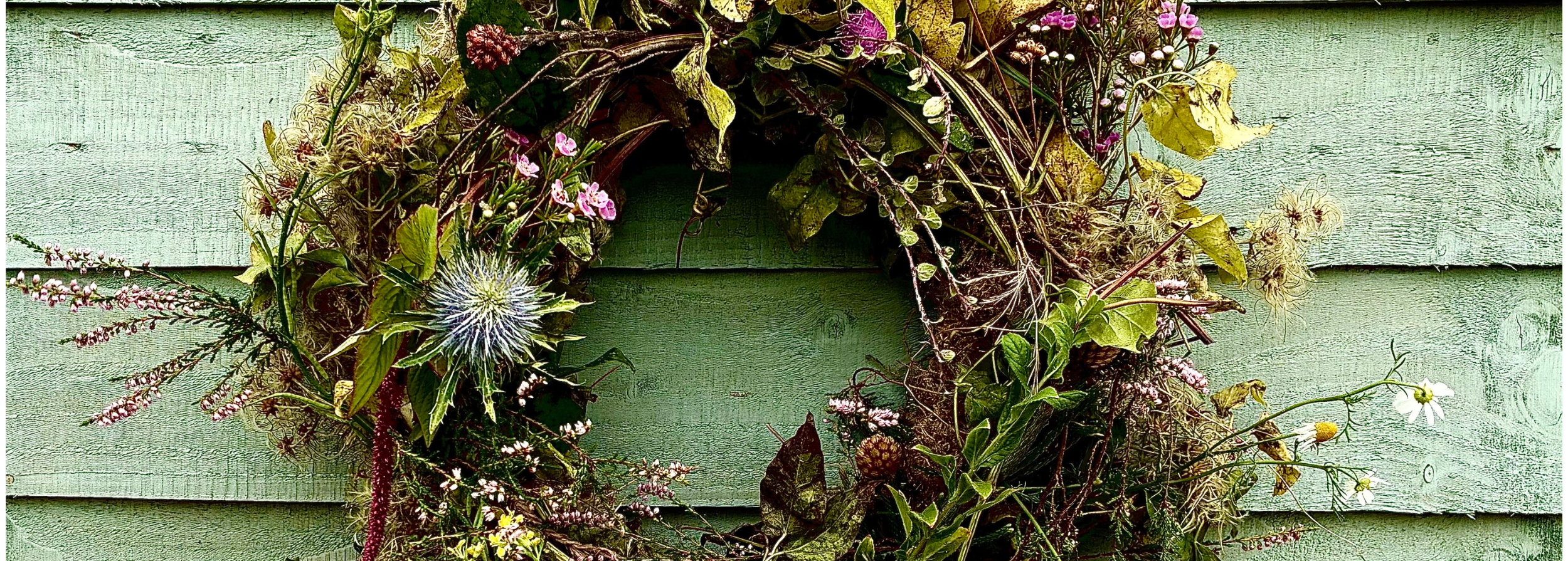 Untitled Design (131)