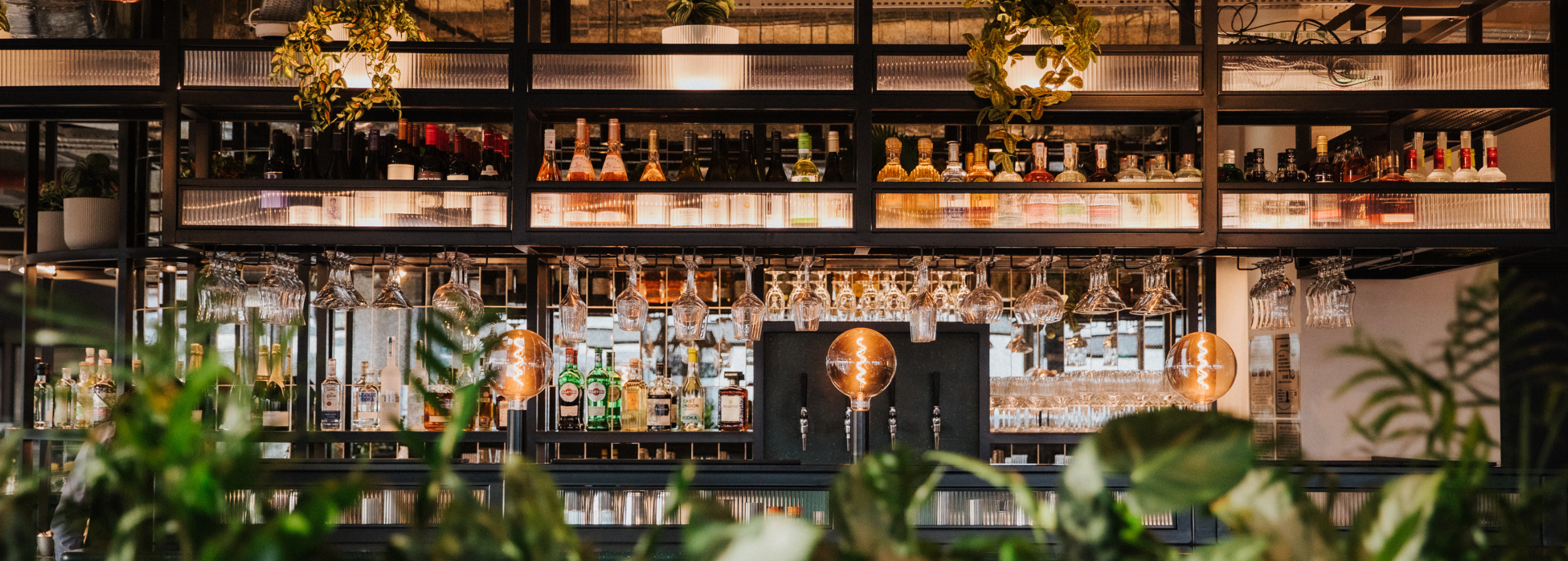 Untitled Design (149)