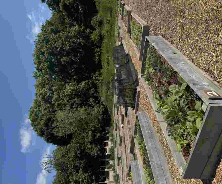 Camphill Gardens 1 (1)
