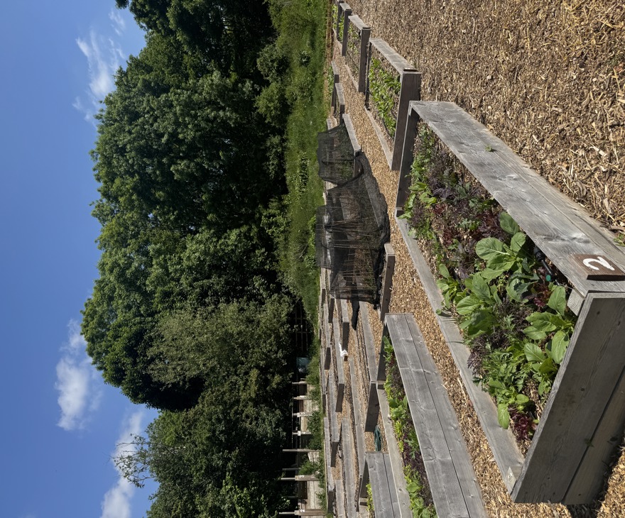 Camphill Gardens 1 (1)