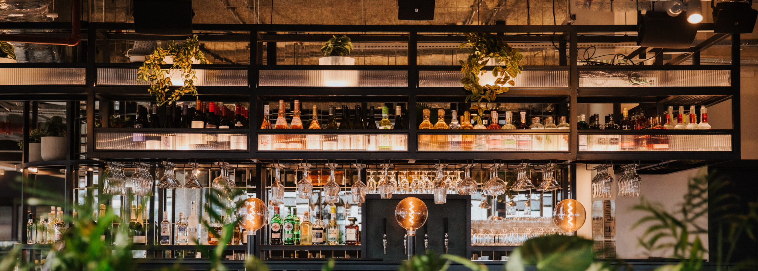 Untitled Design (116)