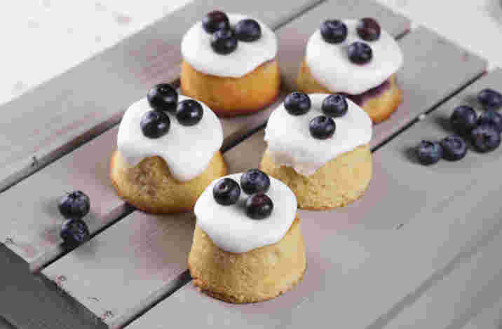 ©Jodihinds 240403 Unityplace Blueberry 07