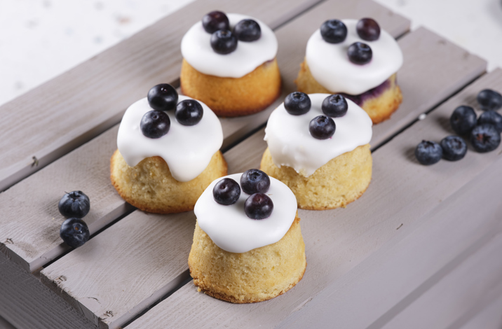 ©Jodihinds 240403 Unityplace Blueberry 07