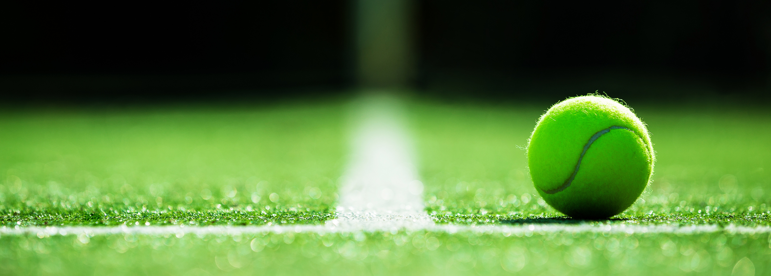 Untitled Design (28)