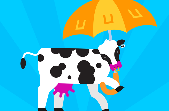 Cows UP Treasure Trail